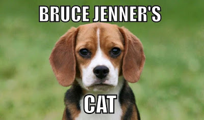 brucey