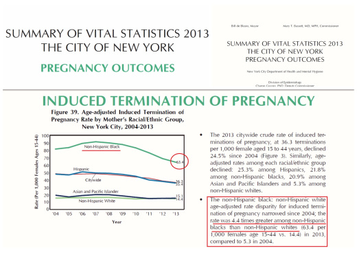 NY ABORTION REPORT-BLaCK LIVES MATTER
