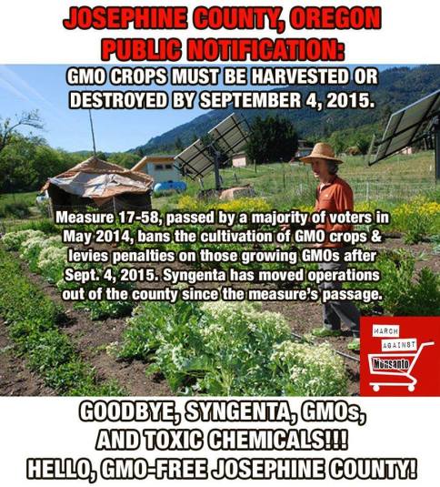 gmos