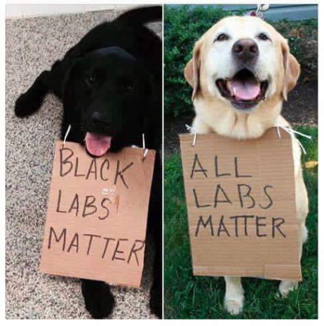 labs