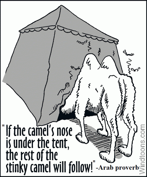 camel's nose