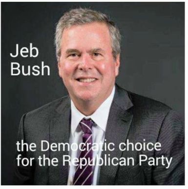 jeb bush