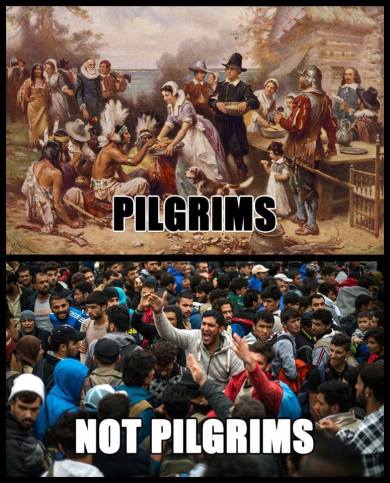 pilgrams