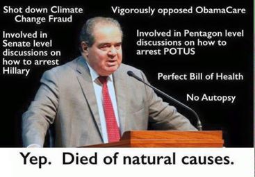 scalia 2