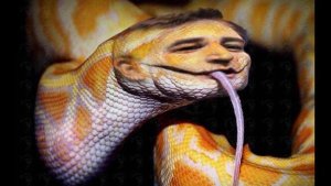 snake Cruz