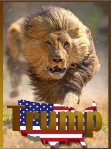 Trump lion