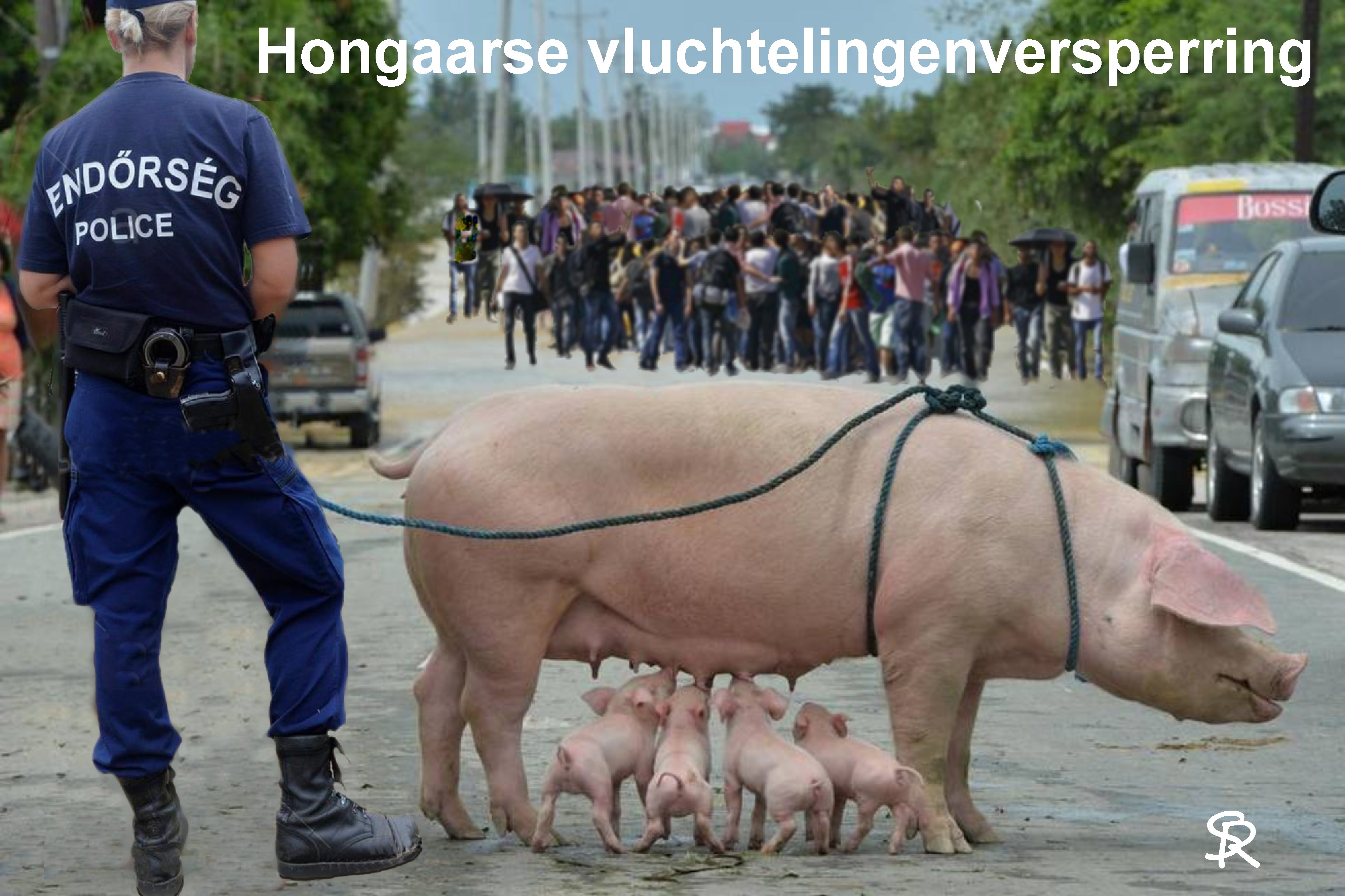 http://i0.wp.com/www.golfbrekers.be/wp-content/uploads/2016/01/vluchtelingen-wegversperring.jpg