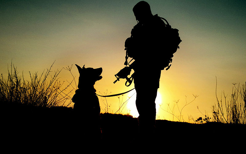 incredible pictures of idf soldiers