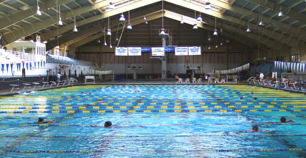 "Bowels Emptied! Women Molested!" German Media Reveals "Monstrous" CCTV Footage Of Refugee Pool Mayham