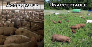 family-farm-raided-by-police-1