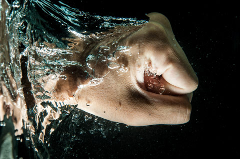 waterrights