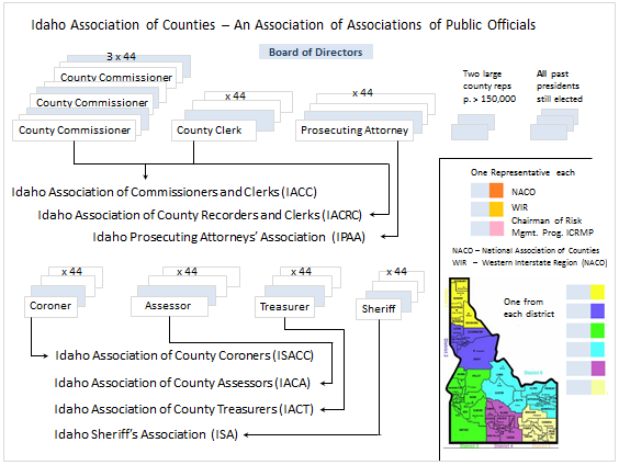 IAC_Org_Structure