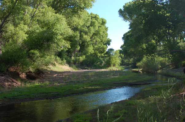 San Pedro River, Hereford, Arizona