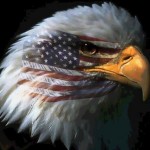 American_Eagle_Image
