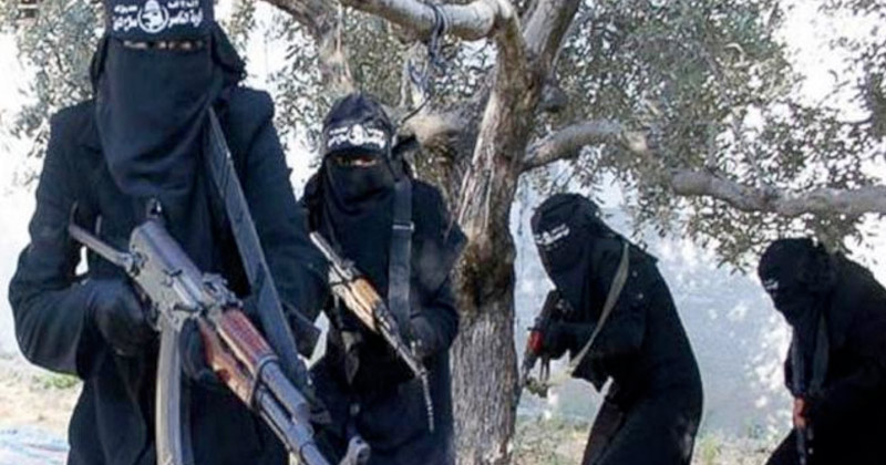 Rise of ISIS Women: 10 of 71 Recruits Arrested in U.S. are Female