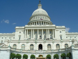 The Capitol Building in Washington D.C. (Wikipedia image)