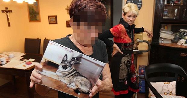 Afghan Migrant In Austria Anally Rapes 72-year-old Woman; Will Not Be Deported